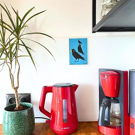 Skylight Dream, Sen Pod Gwiazdami Łódź