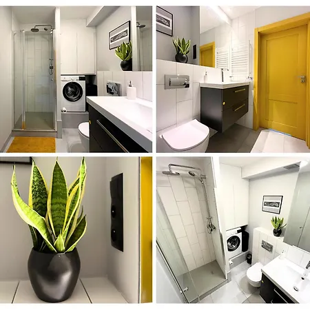 Skylight Dream, Sen Pod Gwiazdami