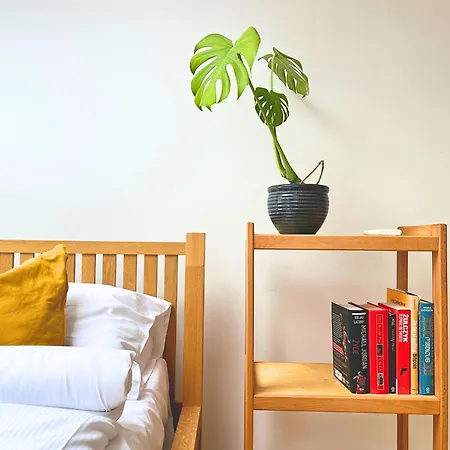 Skylight Dream, Sen Pod Gwiazdami * وودج