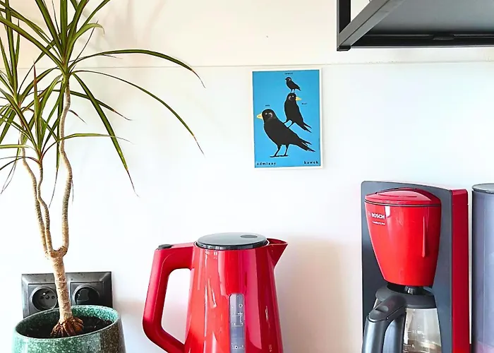 Skylight Dream, Sen Pod Gwiazdami Łódź