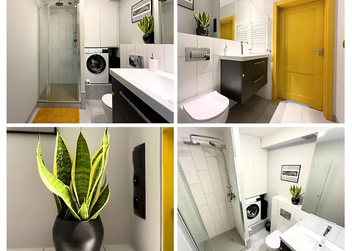 Skylight Dream, Sen Pod Gwiazdami