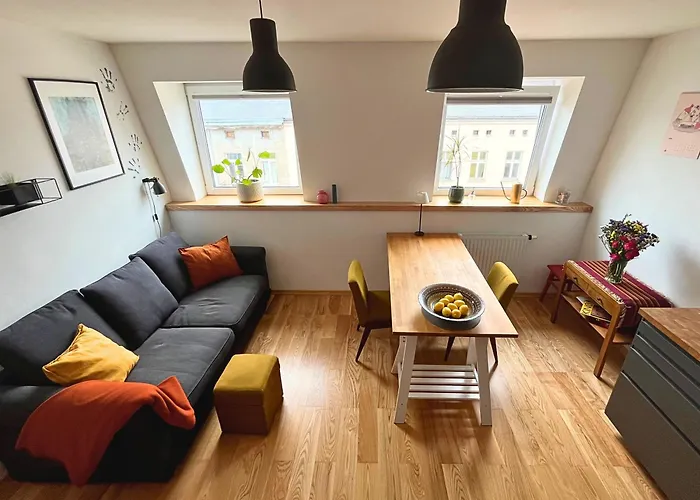 Skylight Dream, Sen Pod Gwiazdami